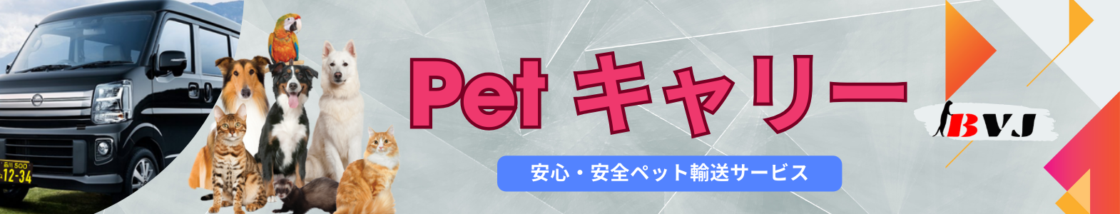 ペットタクシー 